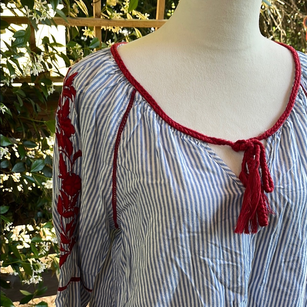 Blue Striped Blouse with Red Floral Embroidery